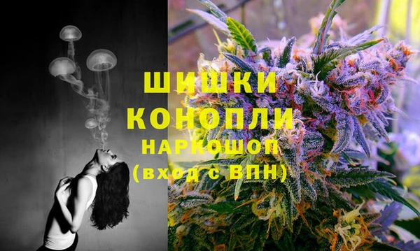 винт Семикаракорск