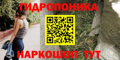 экстази Гай