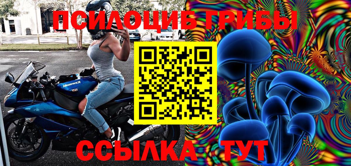 Галлюциногенные грибы прущие грибы  Старая Купавна  Псилоцибиновые грибы прущие грибы 