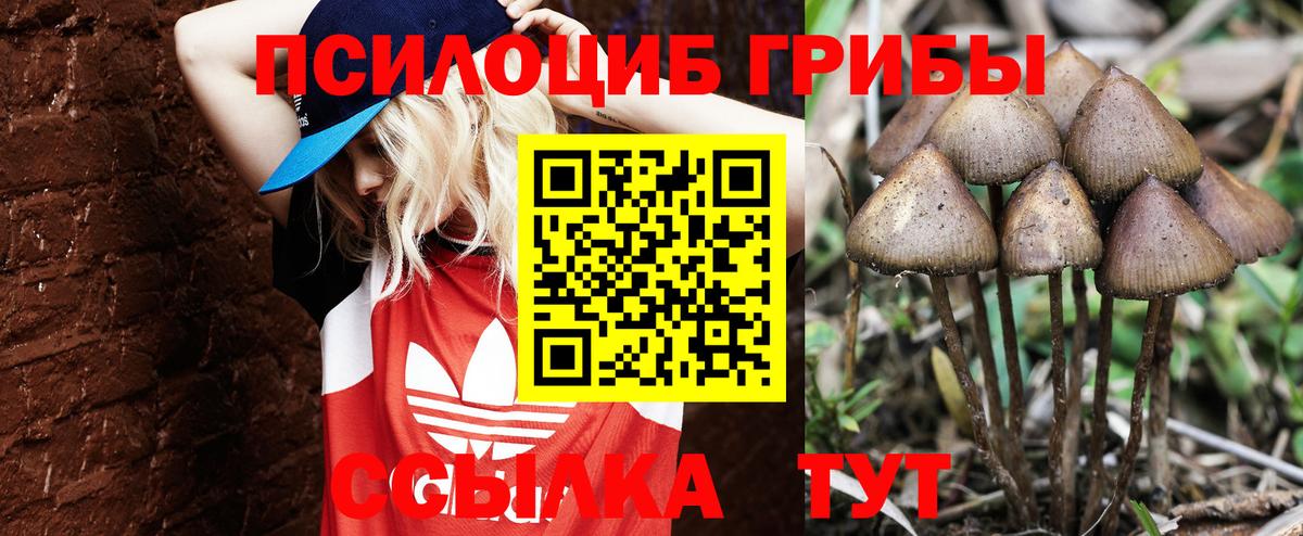 Галлюциногенные грибы GOLDEN TEACHER  Вход с VPN  Старая Купавна 