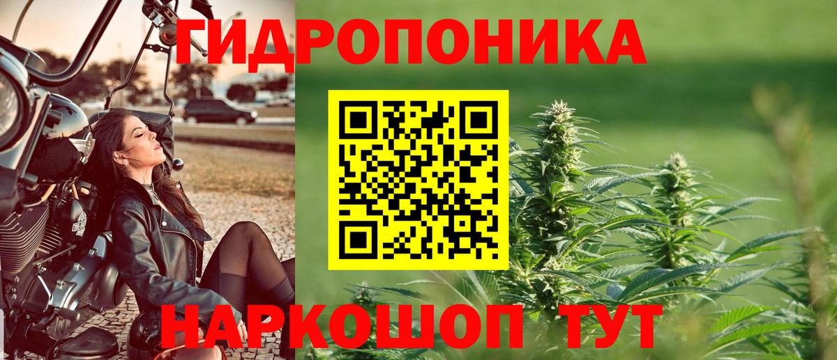 Каннабис SATIVA & INDICA  Старая Купавна  Марихуана VHQ  Бошки марихуана White Widow  Бошки марихуана сатива 